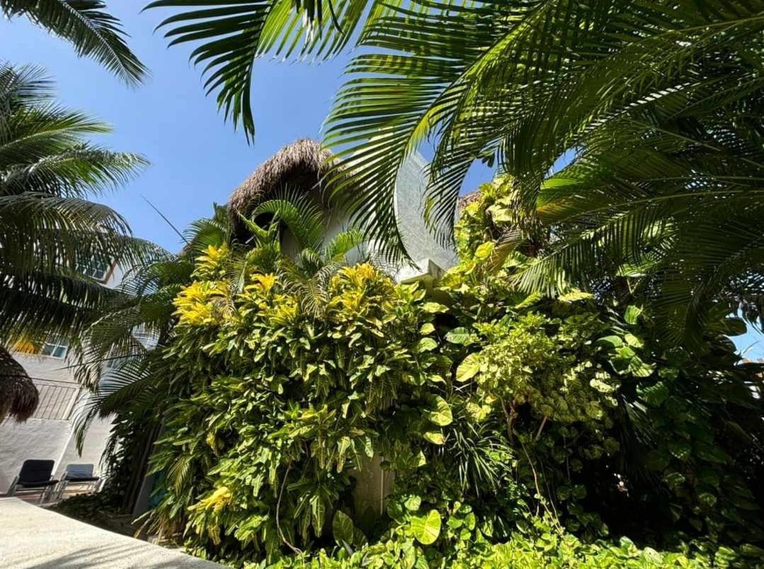 Casa Nona Rosa Apartment Cancun Luaran gambar